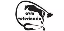 Arantza vitoria veterinaria cabalvet