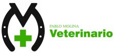 Pablo Molina Veterinario Equino